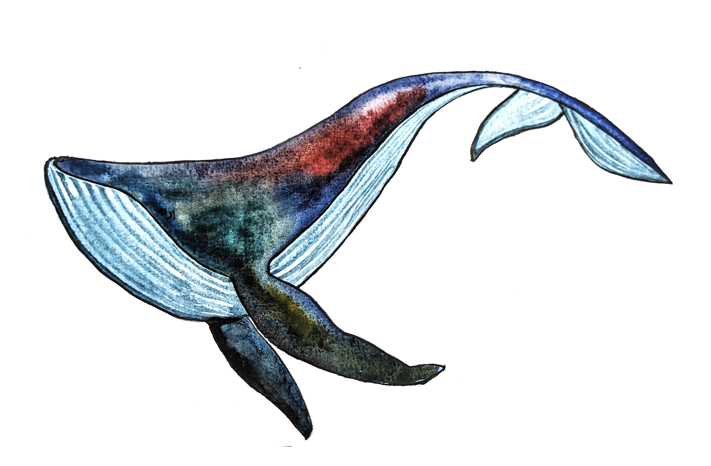 Blue Whale Art